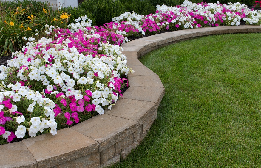 The Complete Guide to Seasonal Landscape Maintenance